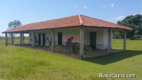 Estancia en venta San Ignacio, MOC-0004