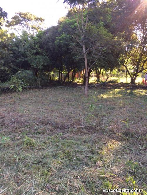 Terreno barato en Coronel Oviedo