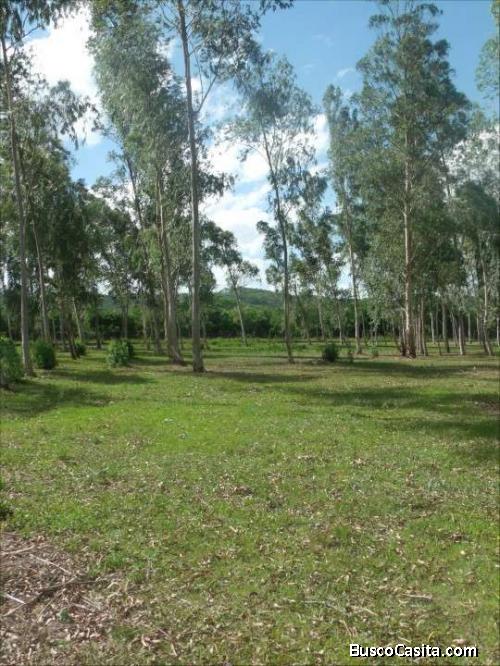 VENDO HERMOSO TERRENO EN SAN BERNARDINO