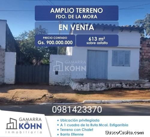 FERNANDO DE LA MORA - 613 M2 A 1 CUADRA DE MCAL ESTIGARRIBIA