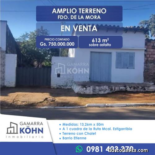 FERNANDO DE LA MORA - 613 M2 A 1 CUADRA DE MCAL ESTIGARRIBIA