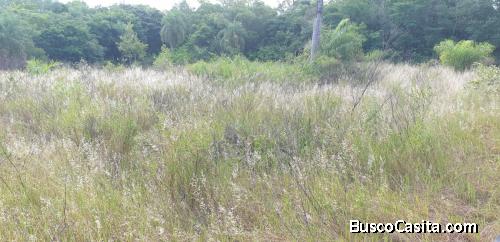 Para descansar de la cuidad y disfrutar de la naturaleza 