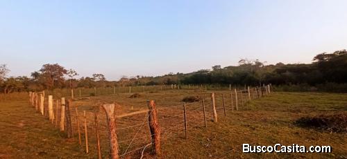 Terreno de 756m2 en Félix Pérez Cardozo-Paraguay 