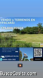 VENDO 3 TERRENOS JUNTOS ZONA KURUSU PABLITO EN YPACARAI A 300m DE RUTA PY02