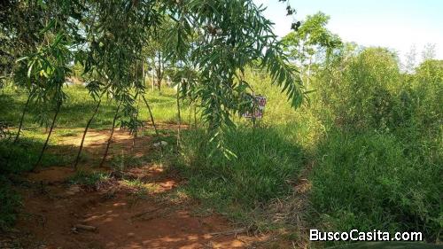 VENDO TERRENO EN LUQUE
