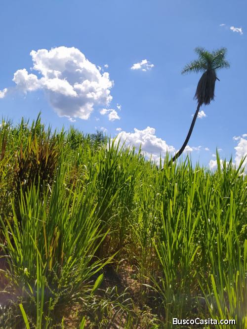 PROPIEDAD RURAL EN HORQUETA