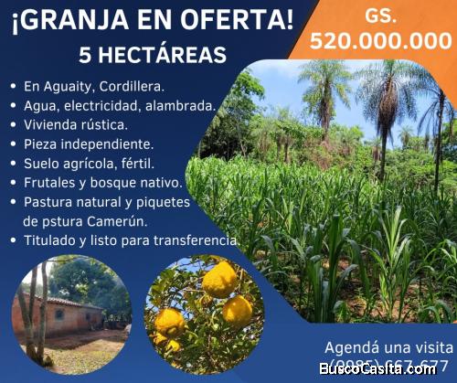 VENDO GRANJA EN FUNCIONAMIENTO EN CORDILLERA, PARAGUAY