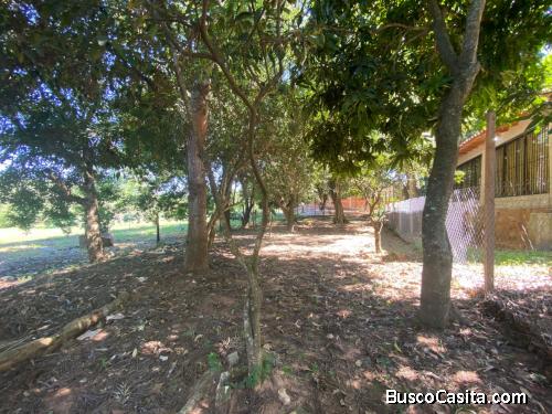 3 terrenos titulados se van juntos o por separados