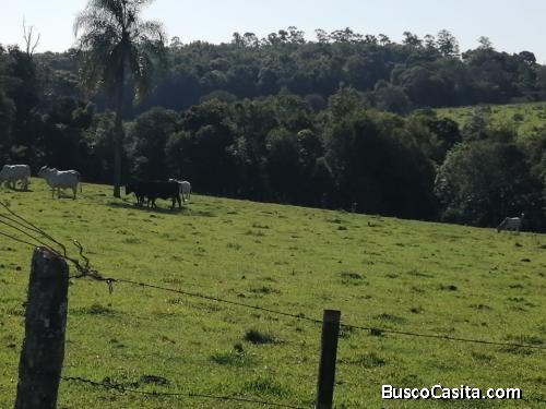 Venta Terreno 2 hectáreas y 3.383 m2