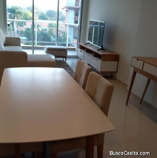 Alquilo departamento amoblado Av. Boggiani