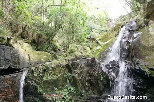20 ha con cascada privada cerca de Salto Cristal - Isla Alta