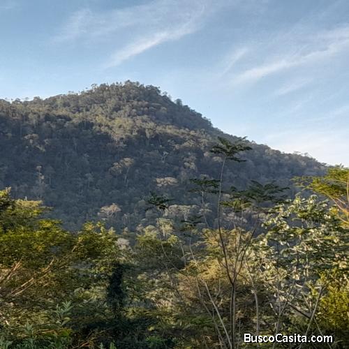 Propiedad con arroyo, manantial, bosque nativo - General Caballero