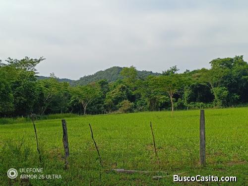 4,7 ha con arroyo, bosque y vista al cerro – La Colmena