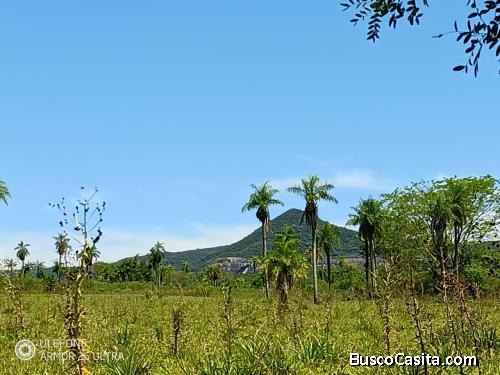 20 ha Propiedad con naturaleza en Potrero Garay – La Colmena