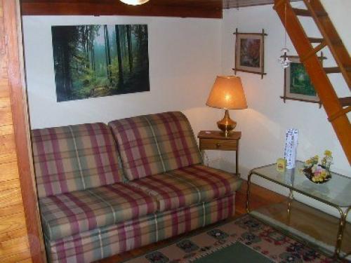 ALQUILO APARTAMENTO EN PUNTA DEL ESTE, URUGUAY.