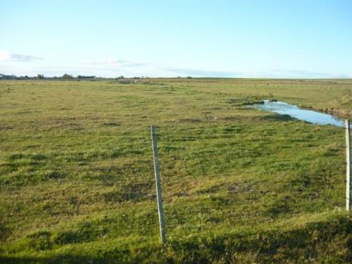 13 HÁS. CAMPO AGRÍCOLA GANADERO. URUGUAY