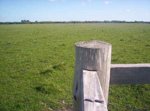 40 HÁS. CON INMEJORABLE COSTA DE ARROYO