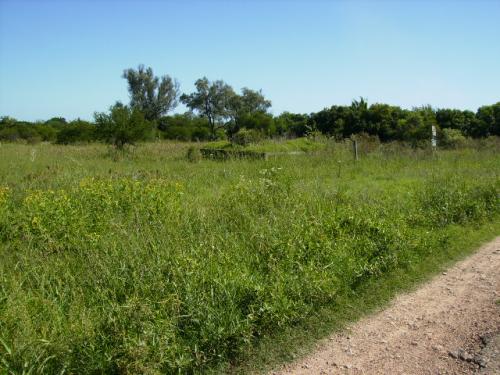 Terreno de 704 M t 2 zona azucitrus.
