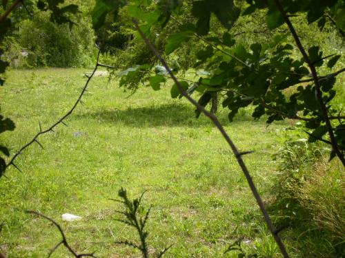 Terreno 2000 mt2 en San Felix