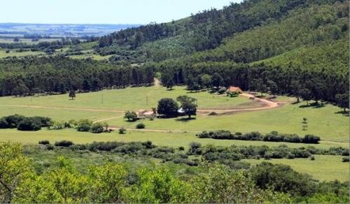 Campo (714 hàs) en Departamento de Lavalleja - URUGUAY
