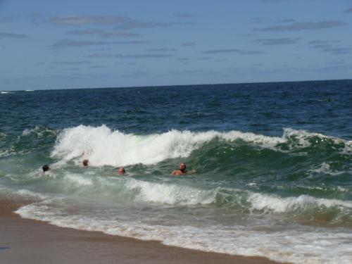 A LA PALOMA URUGUAY .