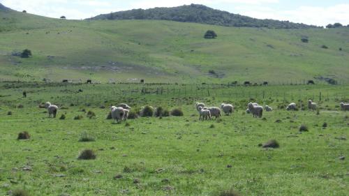Campo muy panorámico, sobre ruta 8 rumbo a Villa Serrana. Inversión.