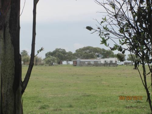 Campo 22 hás., casa, galpón, luz,  instalaciones. Completo a muy buen precio.