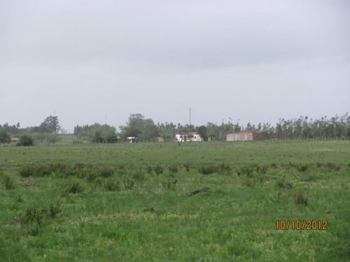 Excelente campo ganadero de 45 hás, casa, galpón, luz. Oportunidad.