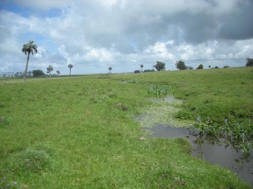 Campo turístico/ganadero. Excelente inversión en zona de gran desarrollo futuro.