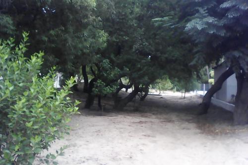 TERRENO ARBOLADO, A 50 MTS DE LA PLAYA