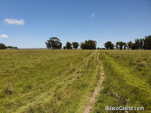 Chacra de 20has en Cabo Polonio