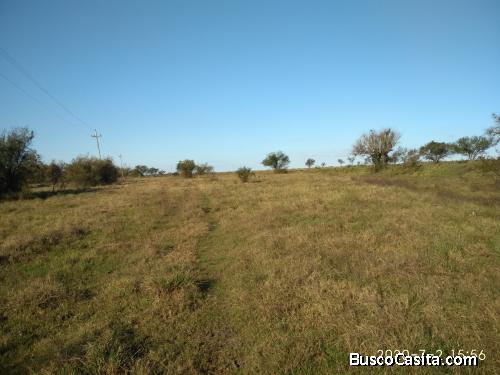 VENTA CAMPO GANADERO AGRICOLA EN BELLA UNION DPTO.ARTIGAS