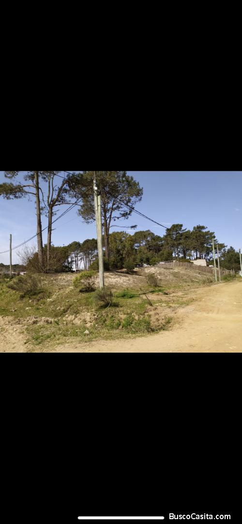 Terreno en la paloma, Rocha 