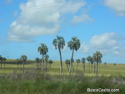 Campo en Venta. Sobre ruta 10, entrada a Aguas Dulces. Oportunidad para inversores 
