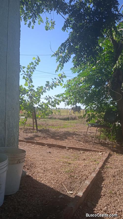 Vendo o alquilo casa con campo 3 h