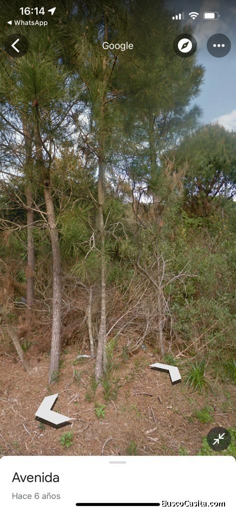 venta tres hermosos lotes baldios ubicados en el balneario Santa Isabel de la pedrera