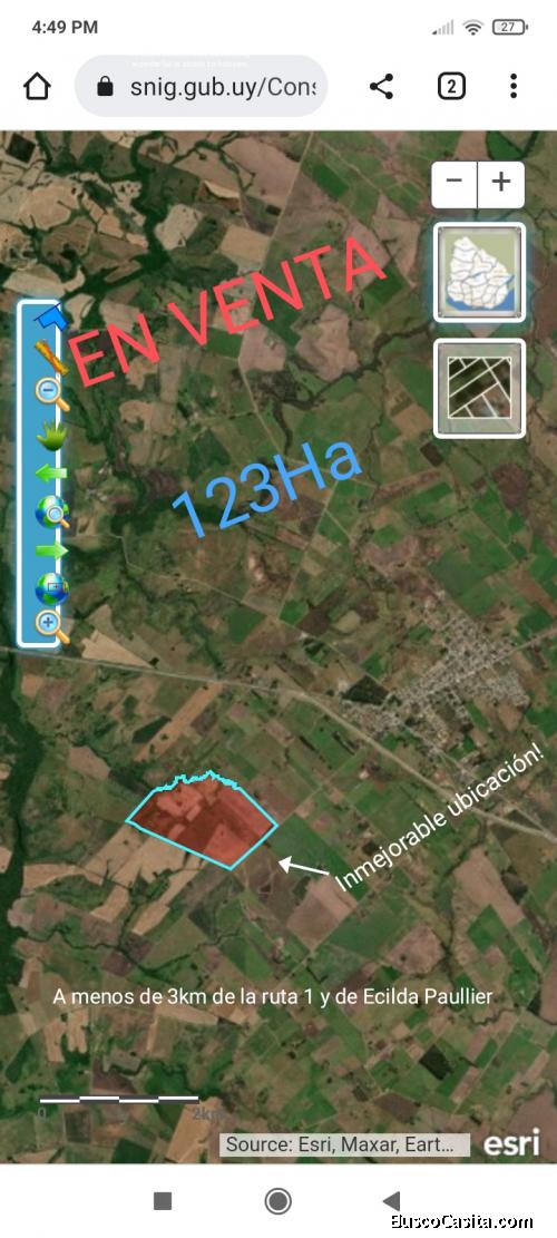 Venta. Campo 123ha. dpto San José 