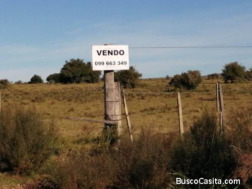 Campo Cerca Del Salto Del Penitente Y Ruta 8 Con Aguada Permanente