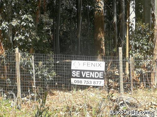 VENTA TERRENO EN JAUREGUIBERRY- CANELONES