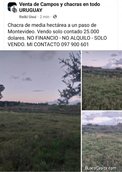Chacra a un paso de Montevideo.