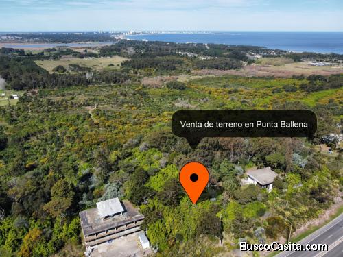 Venta de terreno Panorámico en el Lomo de Punta Ballena - Punta del Este - Maldonado, Uruguay
