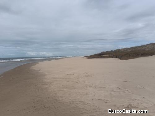 20 TERRENOS EN LA PERLA DE ROCHA (21.000 M2)