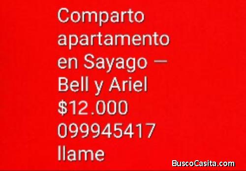 Comparto apartamento. Ideal persona sola