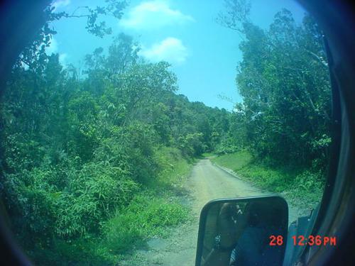 20 Cuerdas en las  Montañas de Cayey Financiamiento por Dueños
