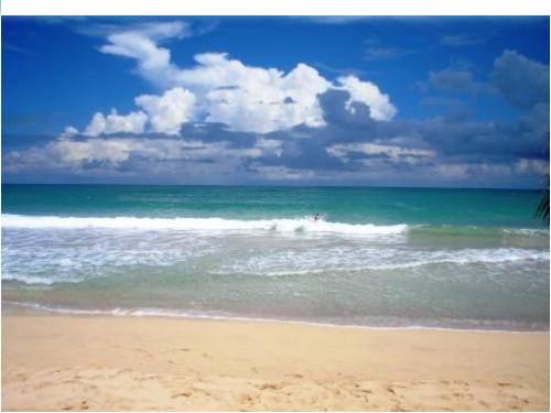 LAN FOR SALE EN THE BEACH UVERO ALTO, BAVARO, PUNTA CANA