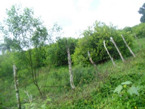 Vendo 40 mil tareas en Rios San Juan