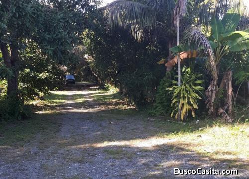 HERMOSA FINCA EN PALAVE SANTO DOMINGO OESTE