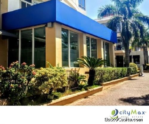 LOCAL COMERCIAL EN RENTA EN PIANTINI