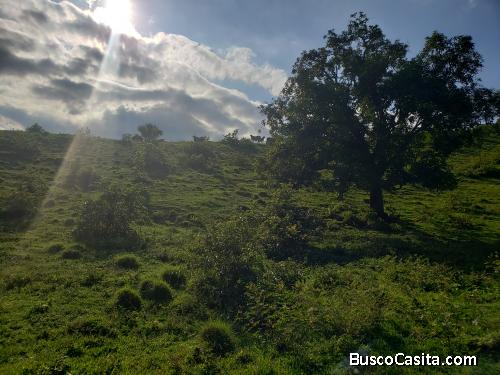 Terreno deslindado con excelente vista en zona montaña