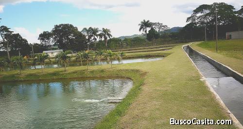 Vendo finca con proyecto de crianza de peces
